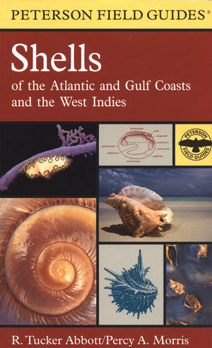 Shells of the Atlantic and Gulf Coasts and the West Indies,Used