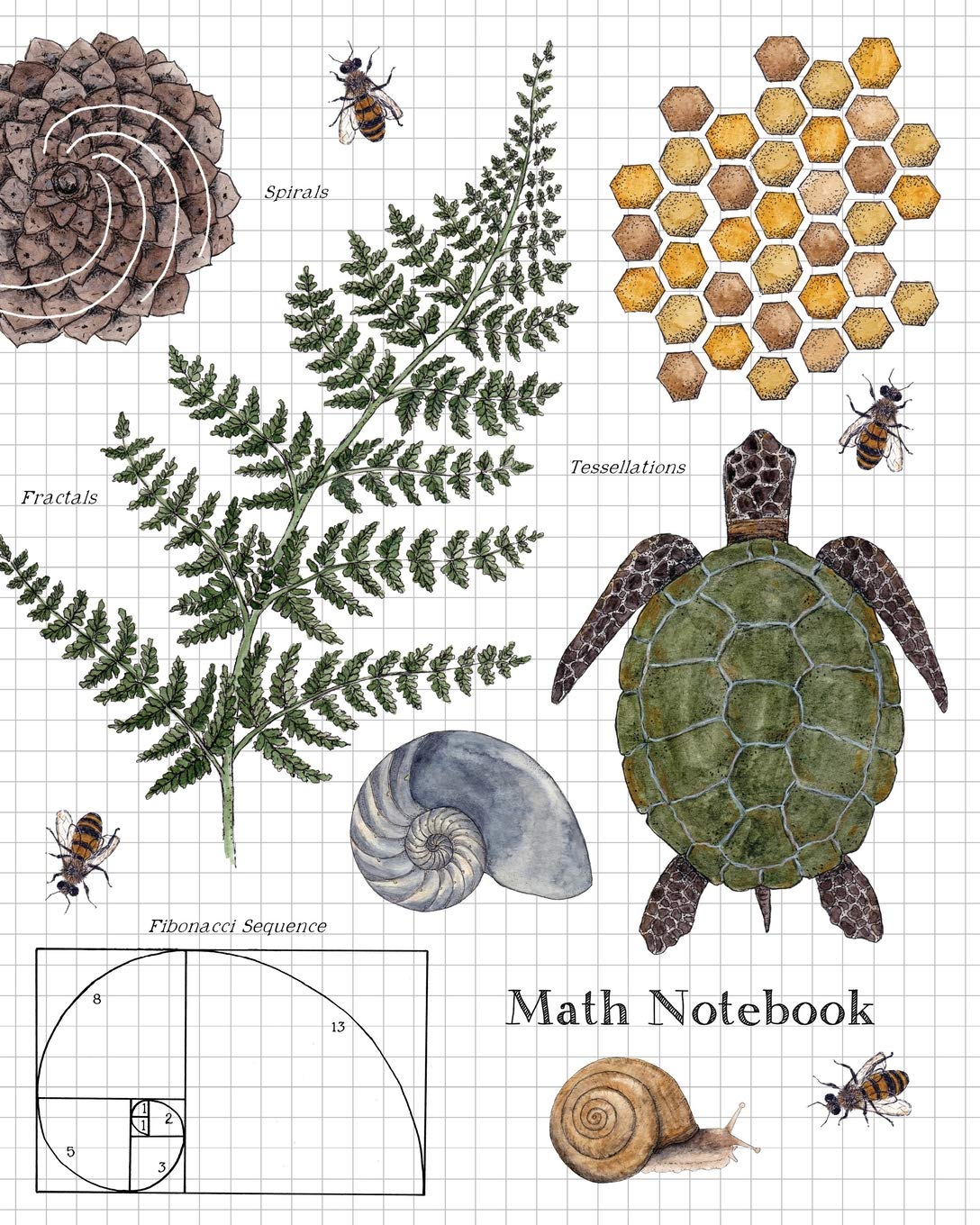 Math Notebook: 1/2 Inch Squares Graph Paper Composition Notebook for Students,Used