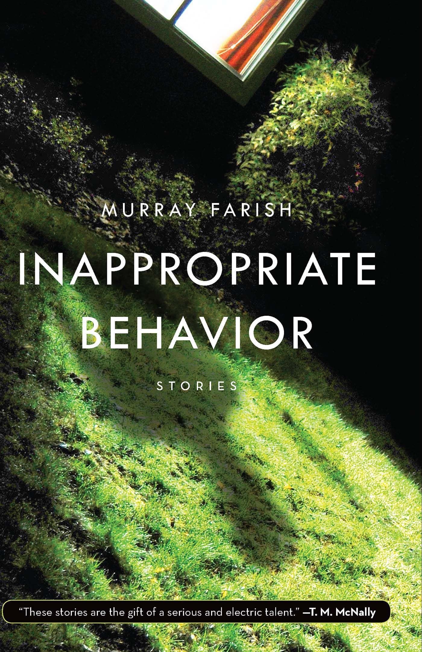 Inappropriate Behavior: Stories,Used