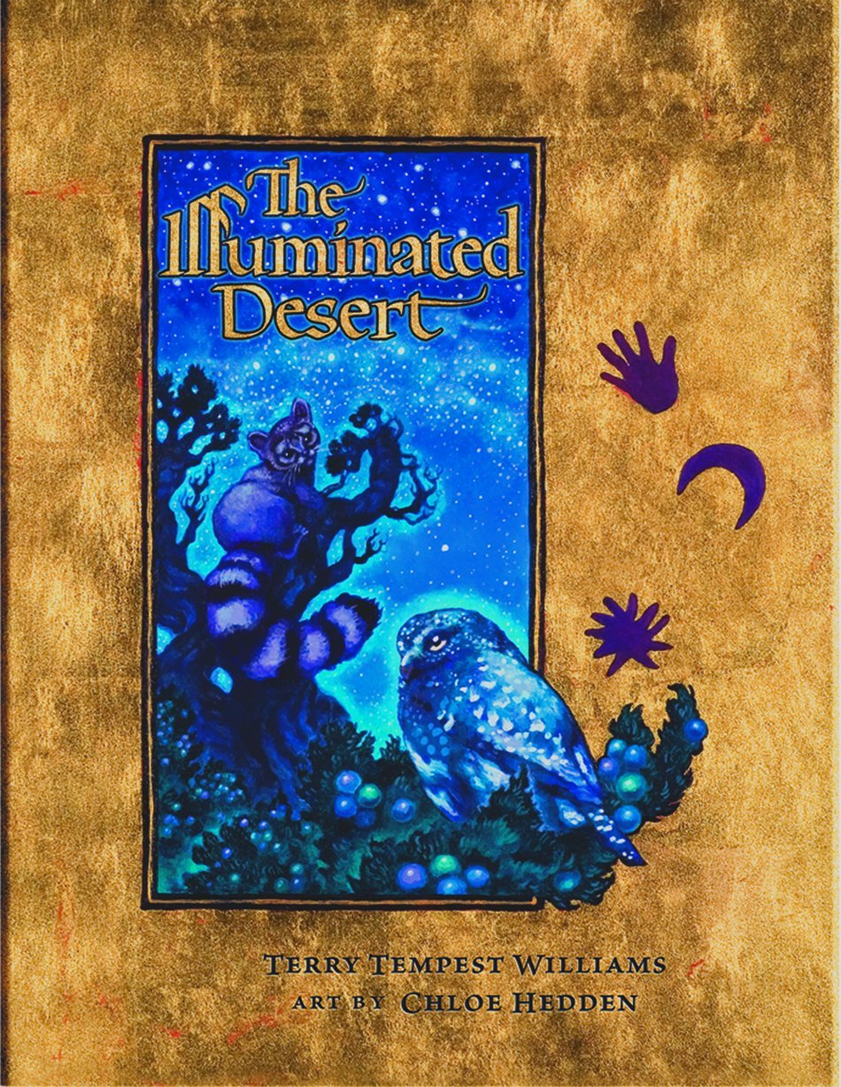 The Illuminated Desert,New