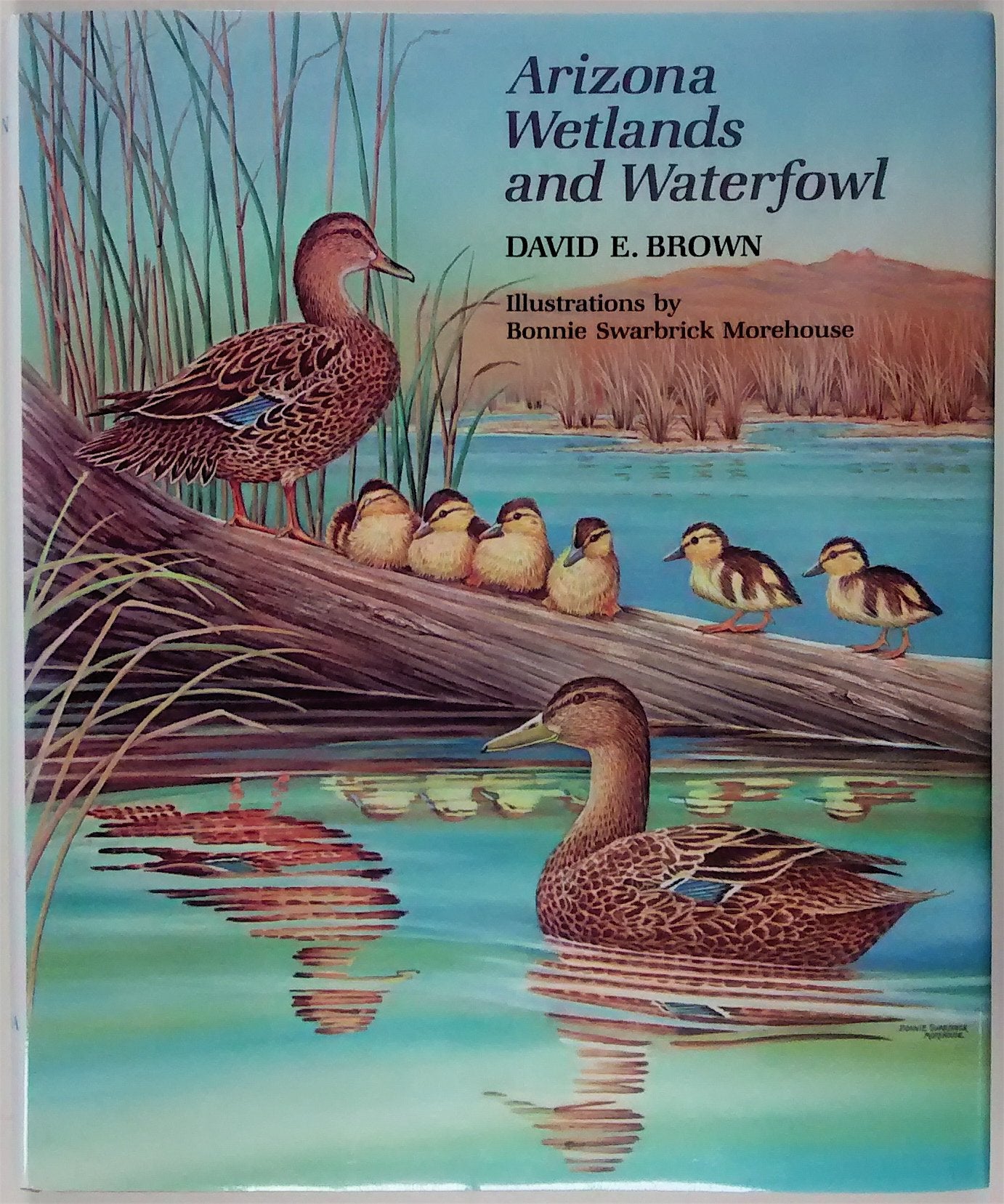 Arizona Wetlands And Waterfowl,Used