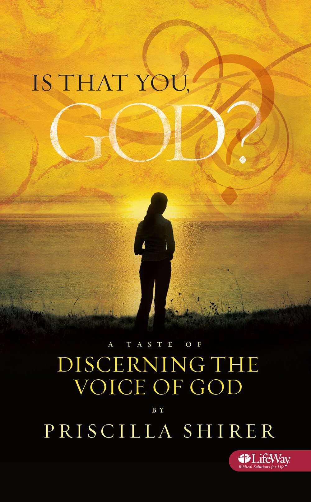 Is That You God?  Booklet: A Taste of Discerning the Voice of God,Used
