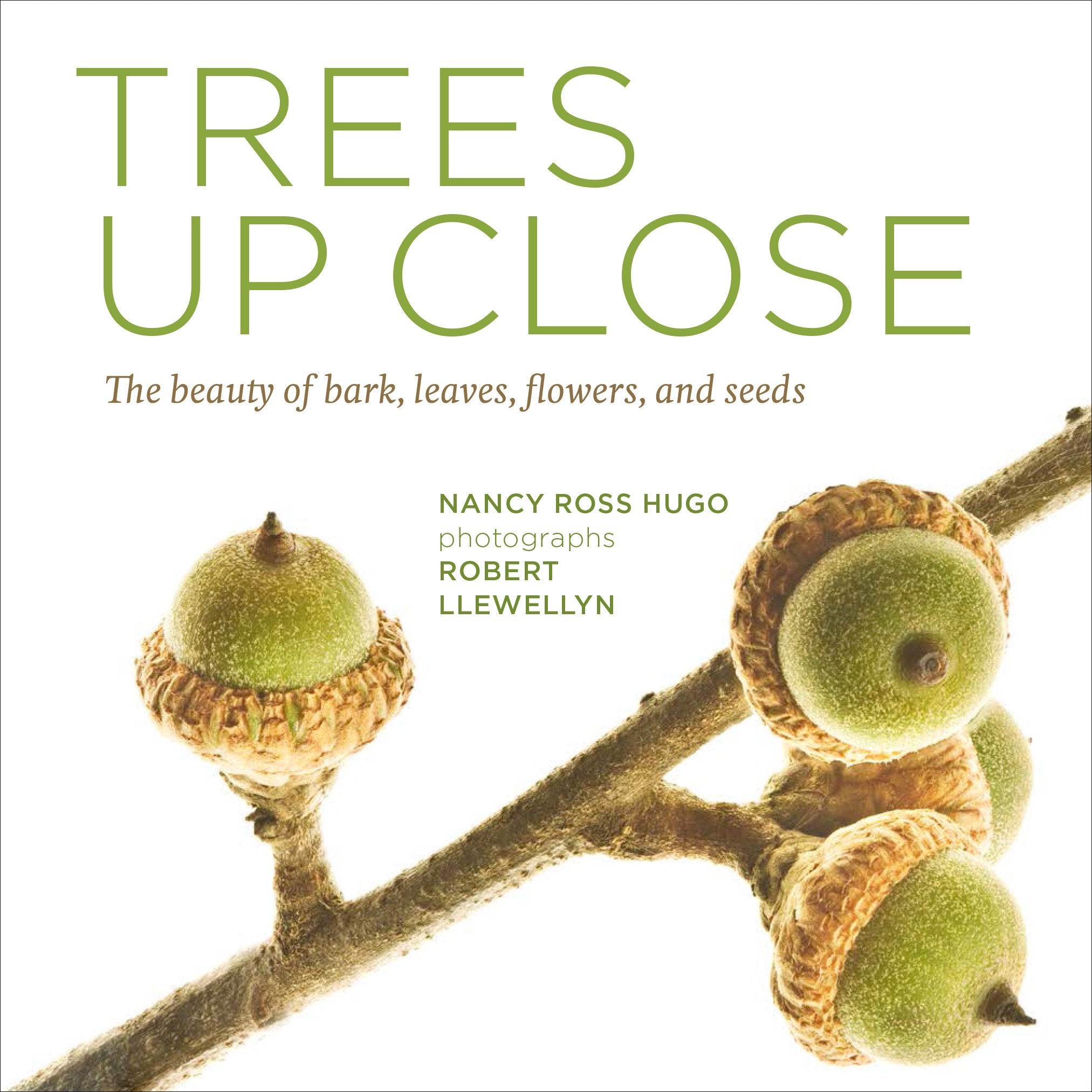 Trees Up Close: The Beauty Of Their Bark, Leaves, Flowers, And Seeds (Seeing Series),Used