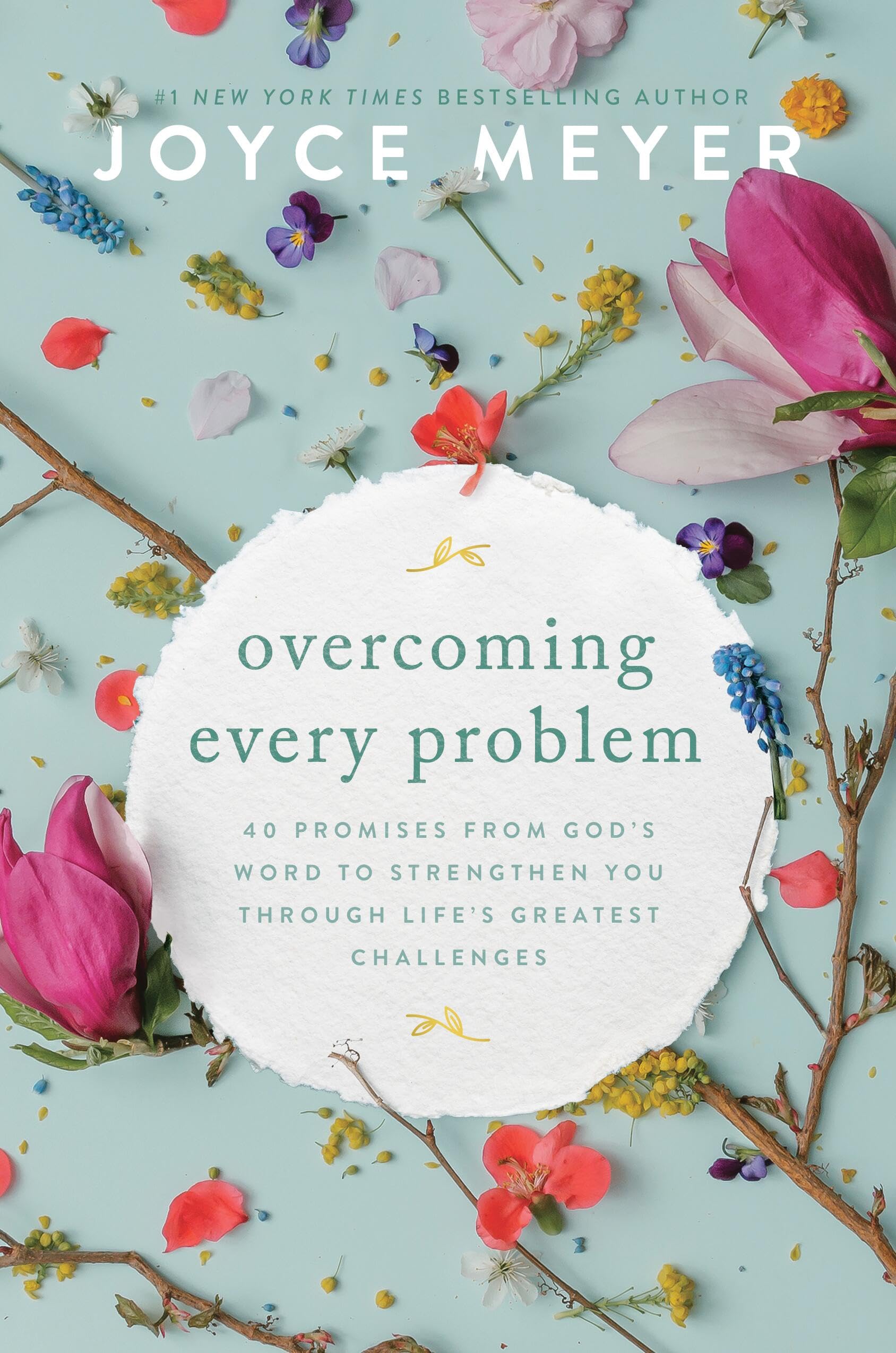 Overcoming Every Problem: 40 Promises From Gods Word To Strengthen You Through Lifes Greatest Challenges,New