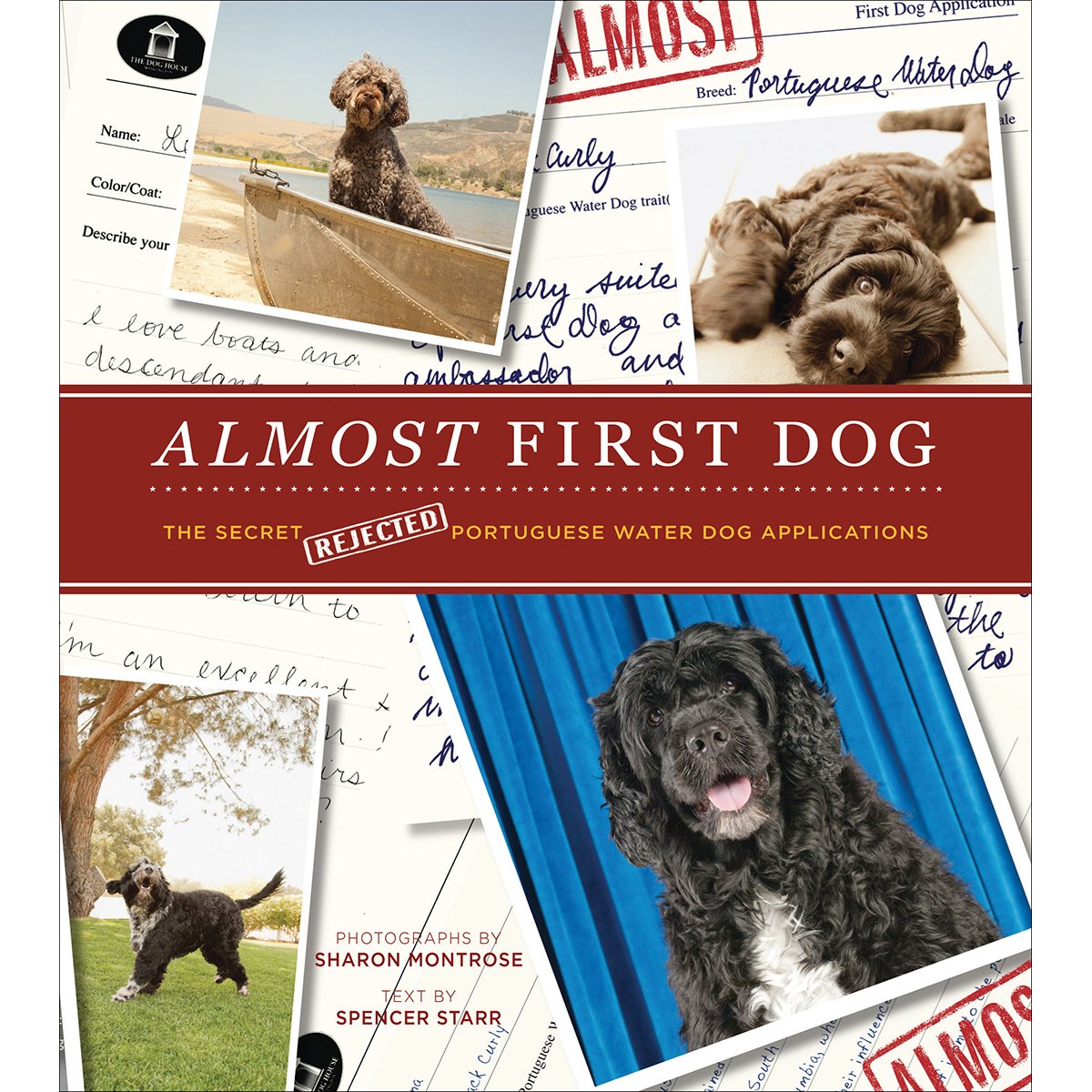 Almost First Dog: The Secret (Rejected) Portuguese Water Dog Applications