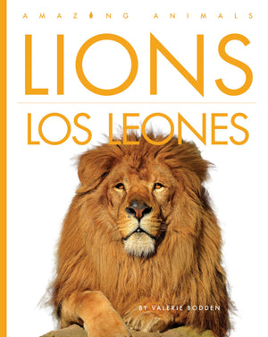 Lions / Los Leones (Spanish Edition)