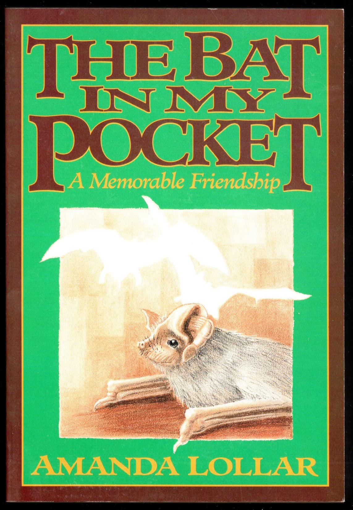 The Bat In My Pocket: A Memorable Friendship,New