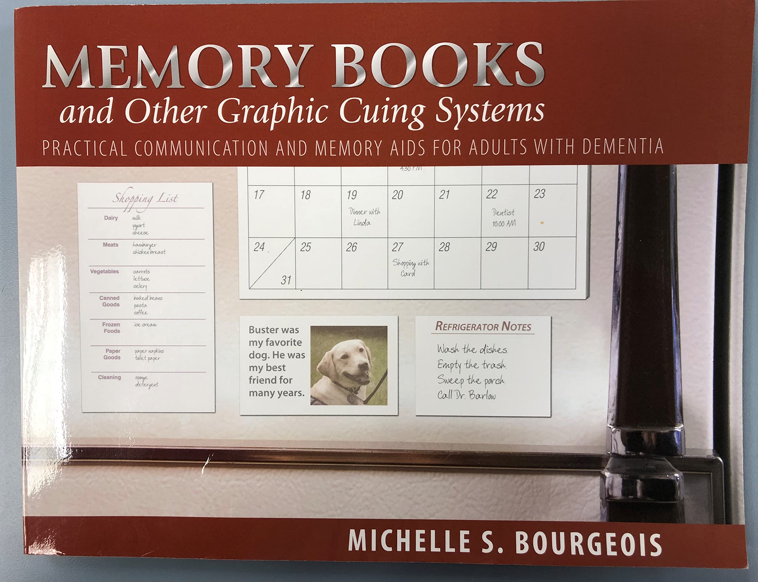 Memory Books And Other Graphic Cuing Systems: Practical Communication And Memory Aids For Adults With Dementia,Used