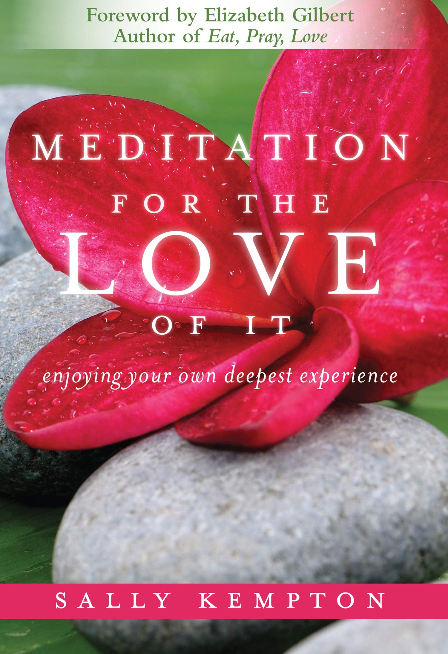 Meditation For The Love Of It: Enjoying Your Own Deepest Experience