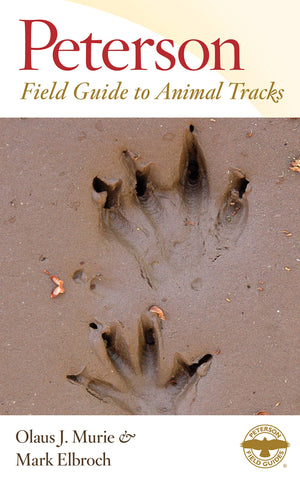 Peterson Field Guide To Animal Tracks: Third Edition (Peterson Field Guides)