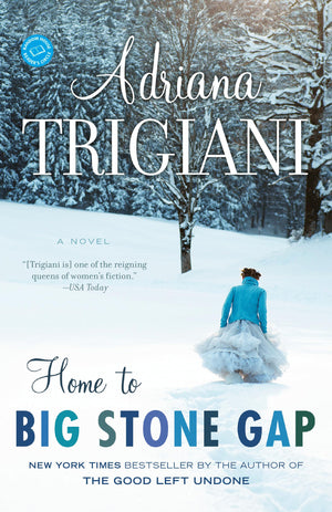 Home To Big Stone Gap: A Novel,Used