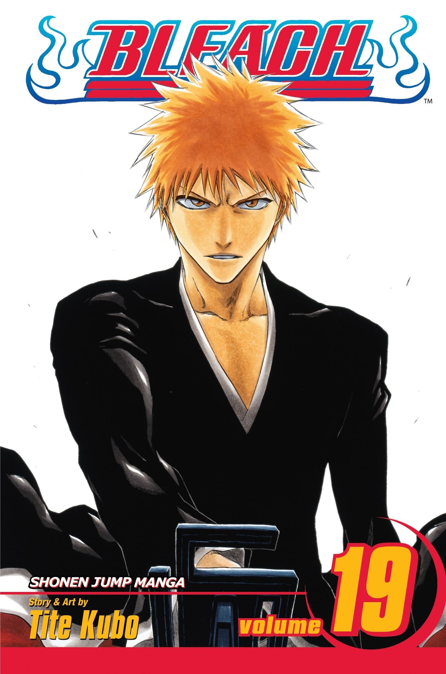 Bleach, Vol. 19-used