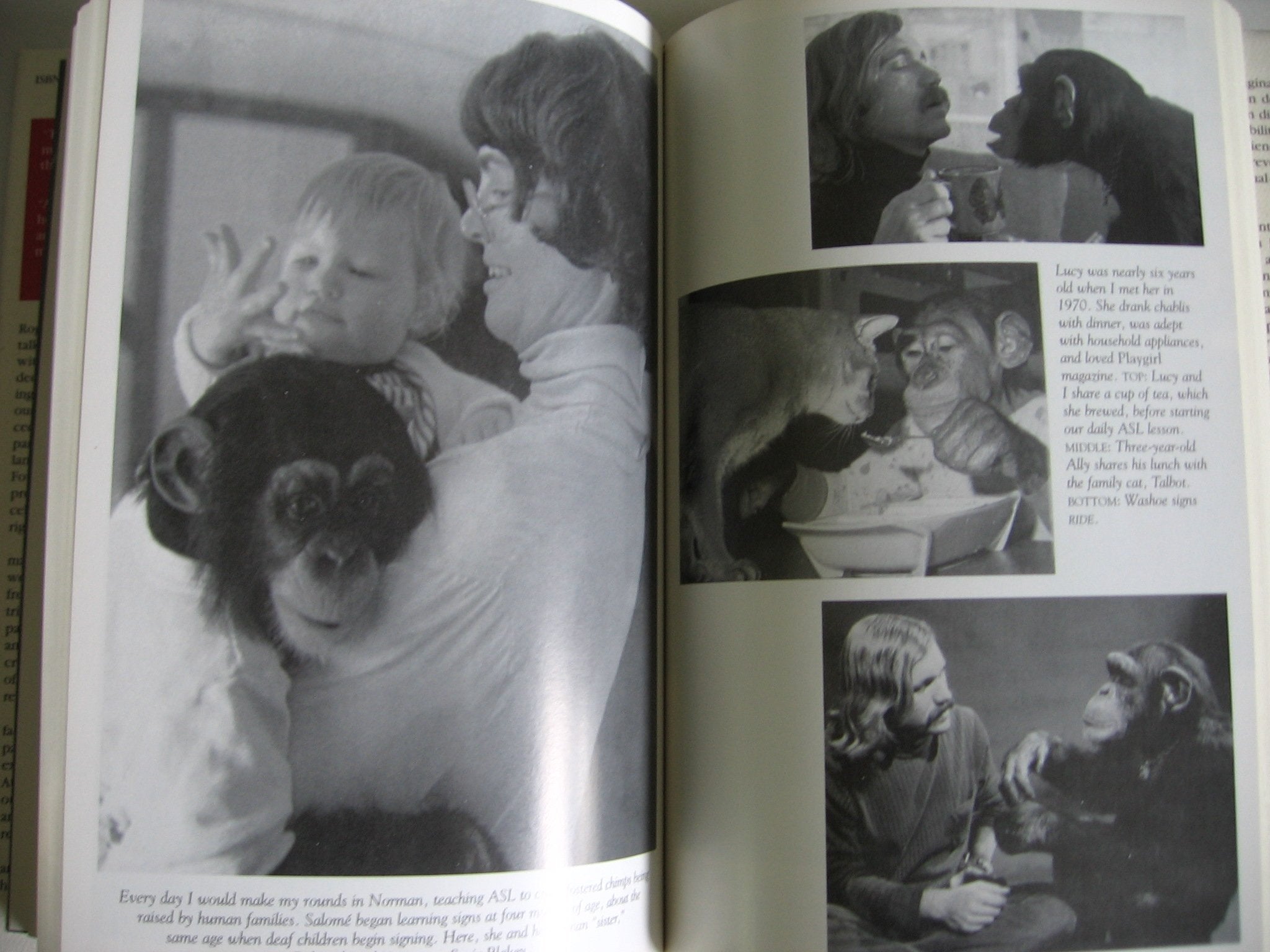 Next of Kin: What Chimpanzees Have Taught Me About Who We Are,New