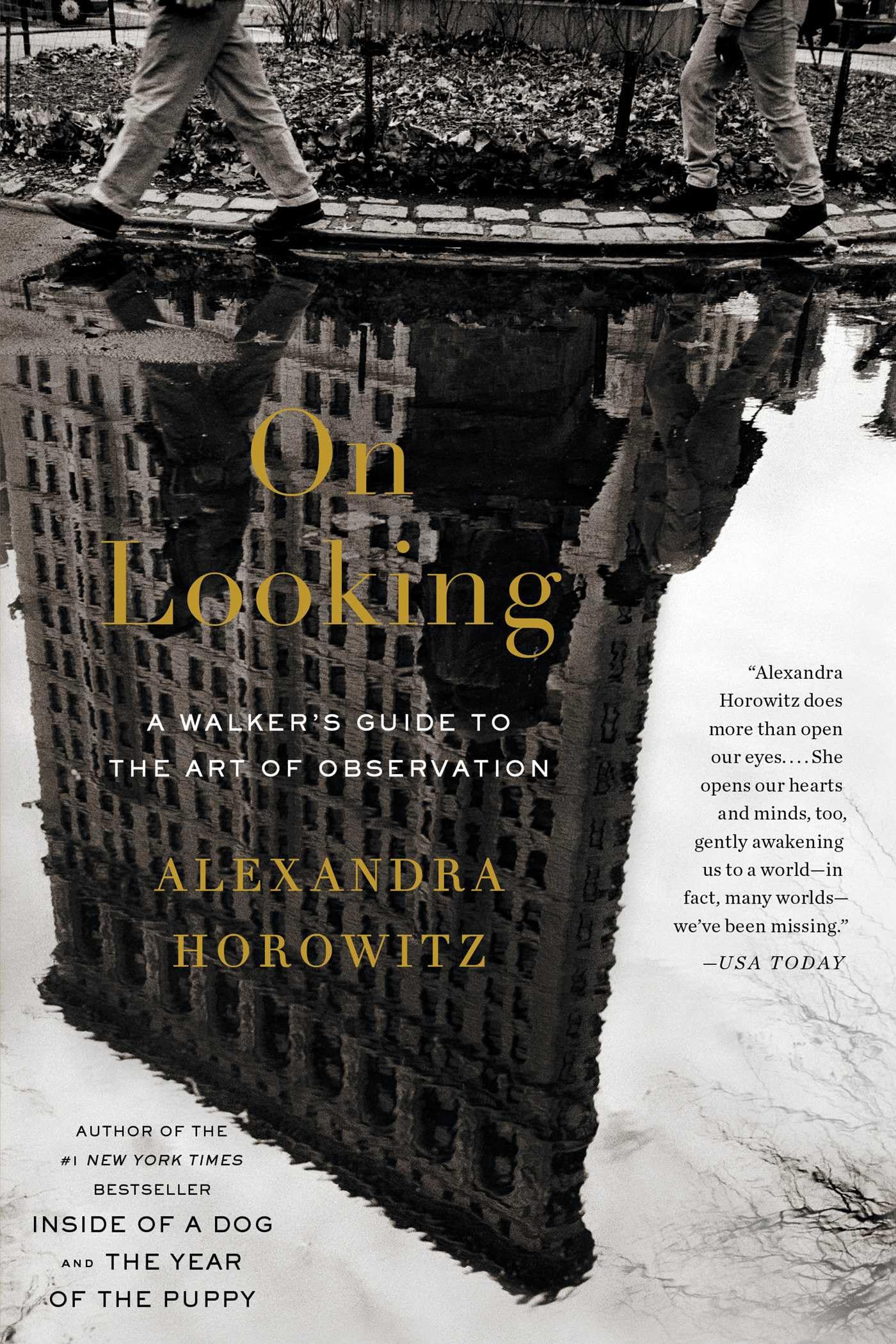 On Looking: A Walker'S Guide To The Art Of Observation
