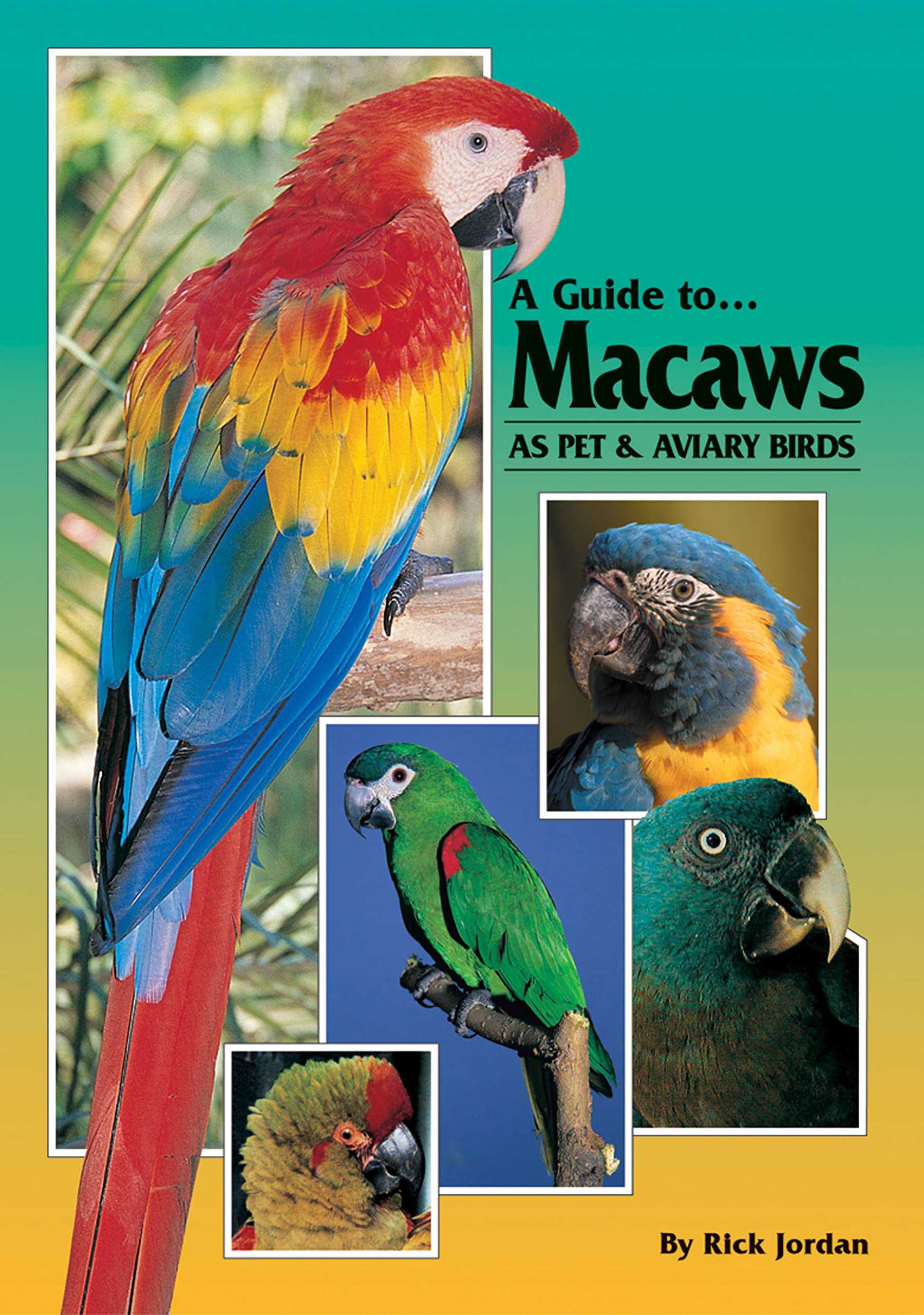 A Guide To Macaws As Pet And Aviary Birds-used