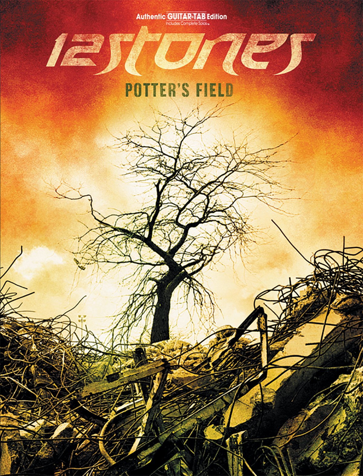 12 Stones  Potter'S Field: Authentic Guitar Tab,New