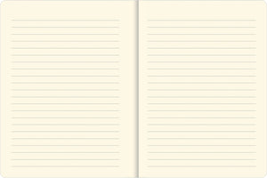 Midnight Floral Journal (Diary, Notebook)