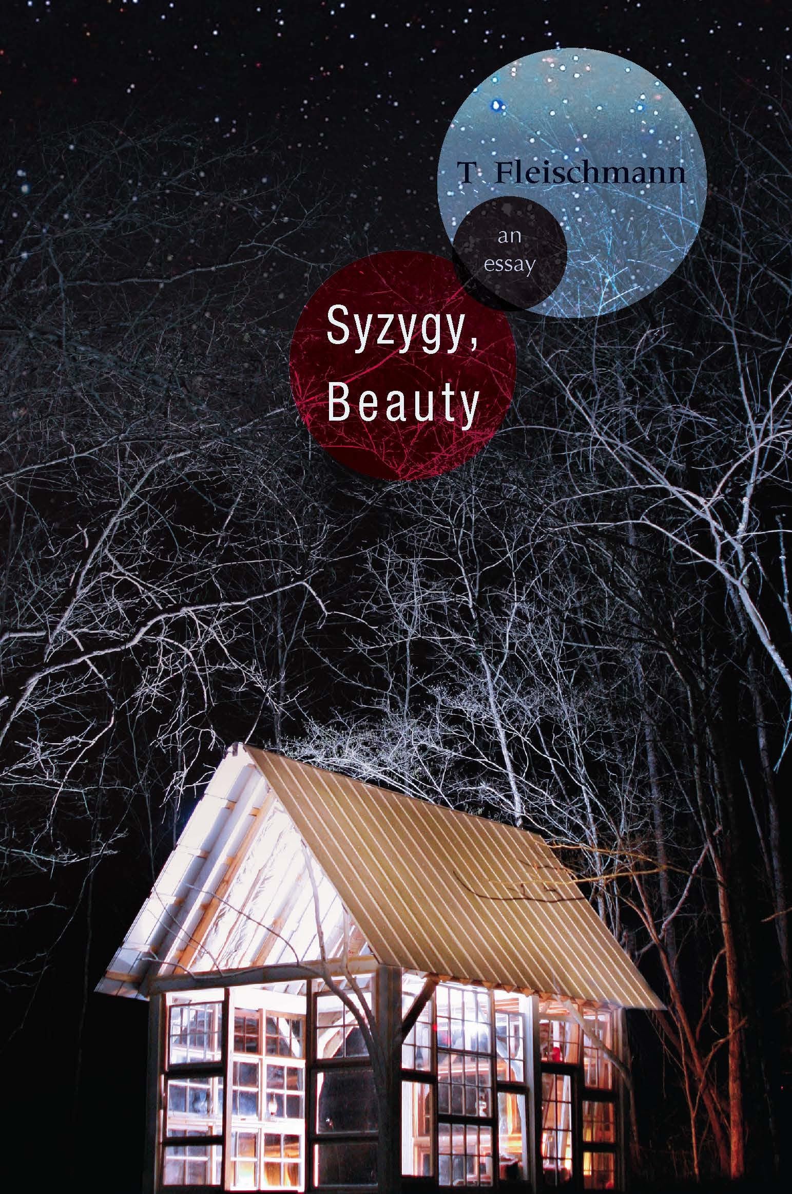 Syzygy, Beauty: An Essay,Used