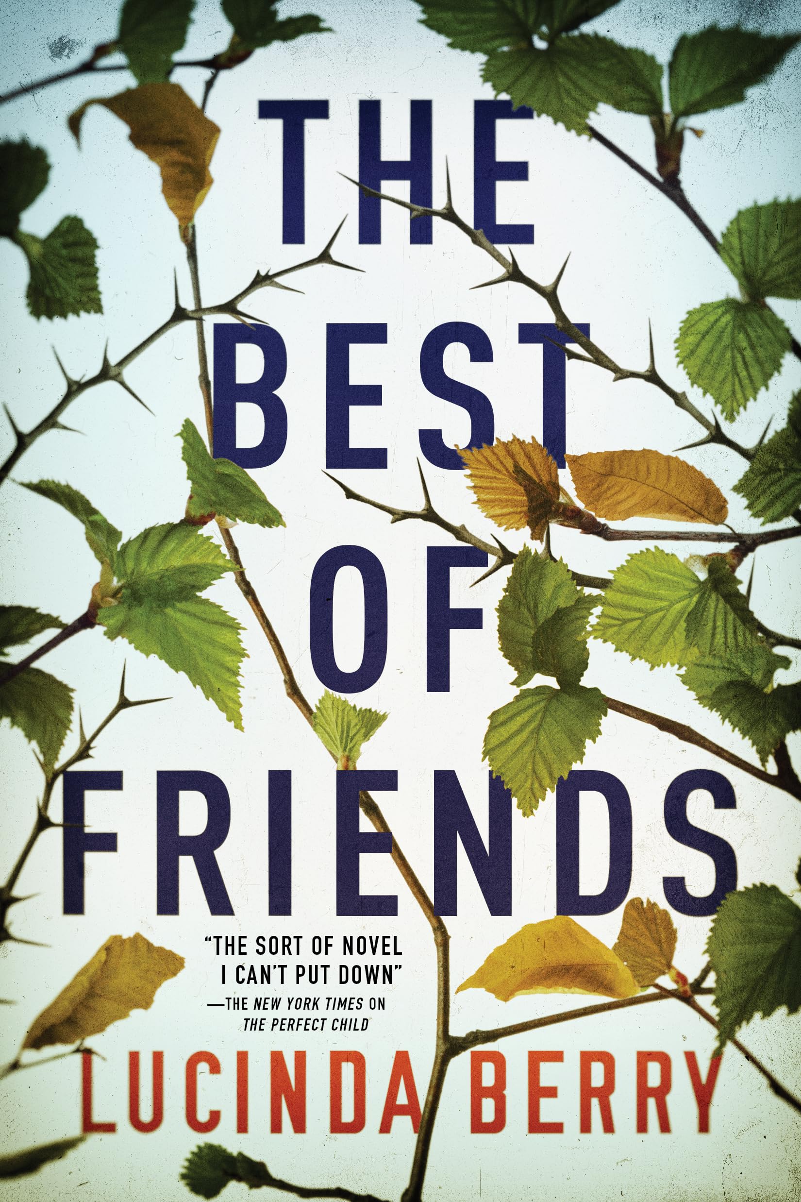 The Best of Friends,New
