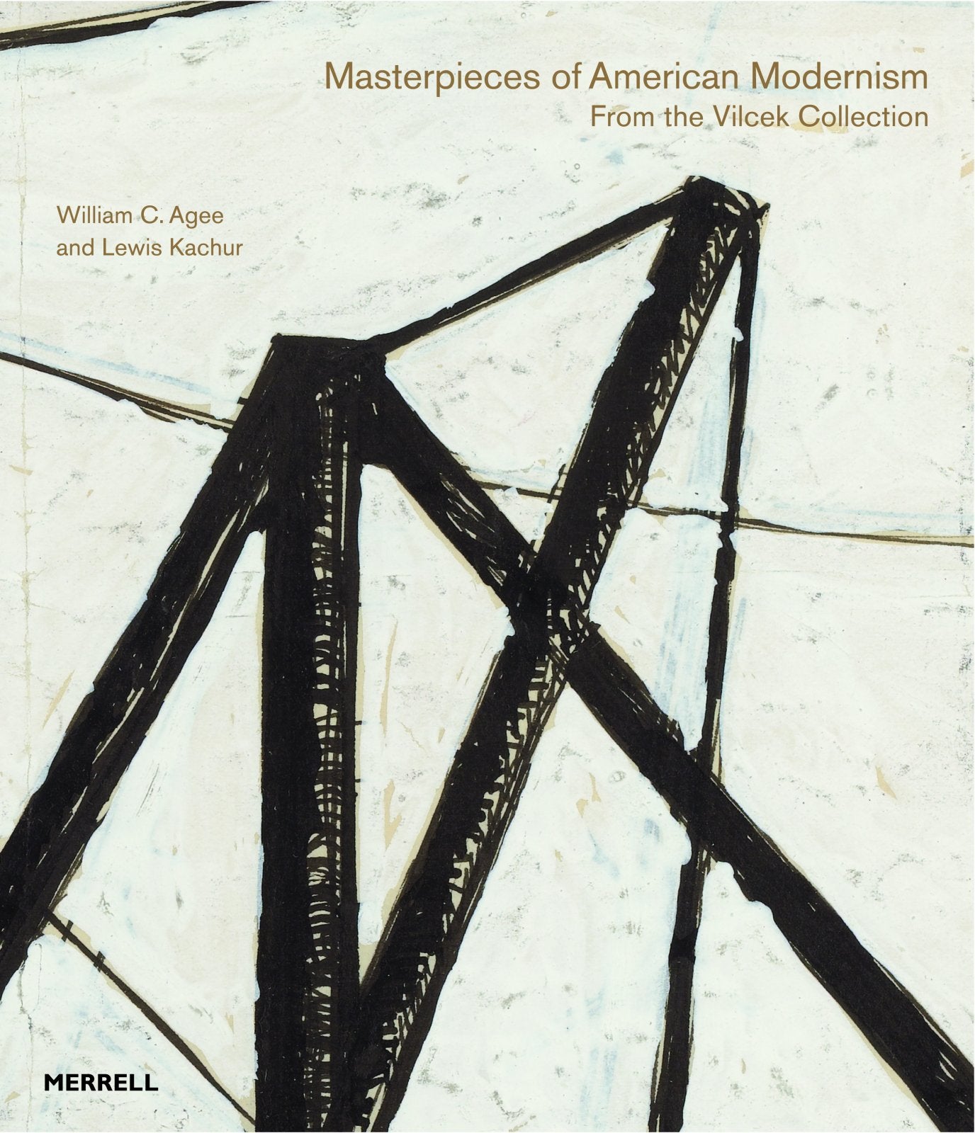Masterpieces of American Modernism: From the Vilcek Collection,Used