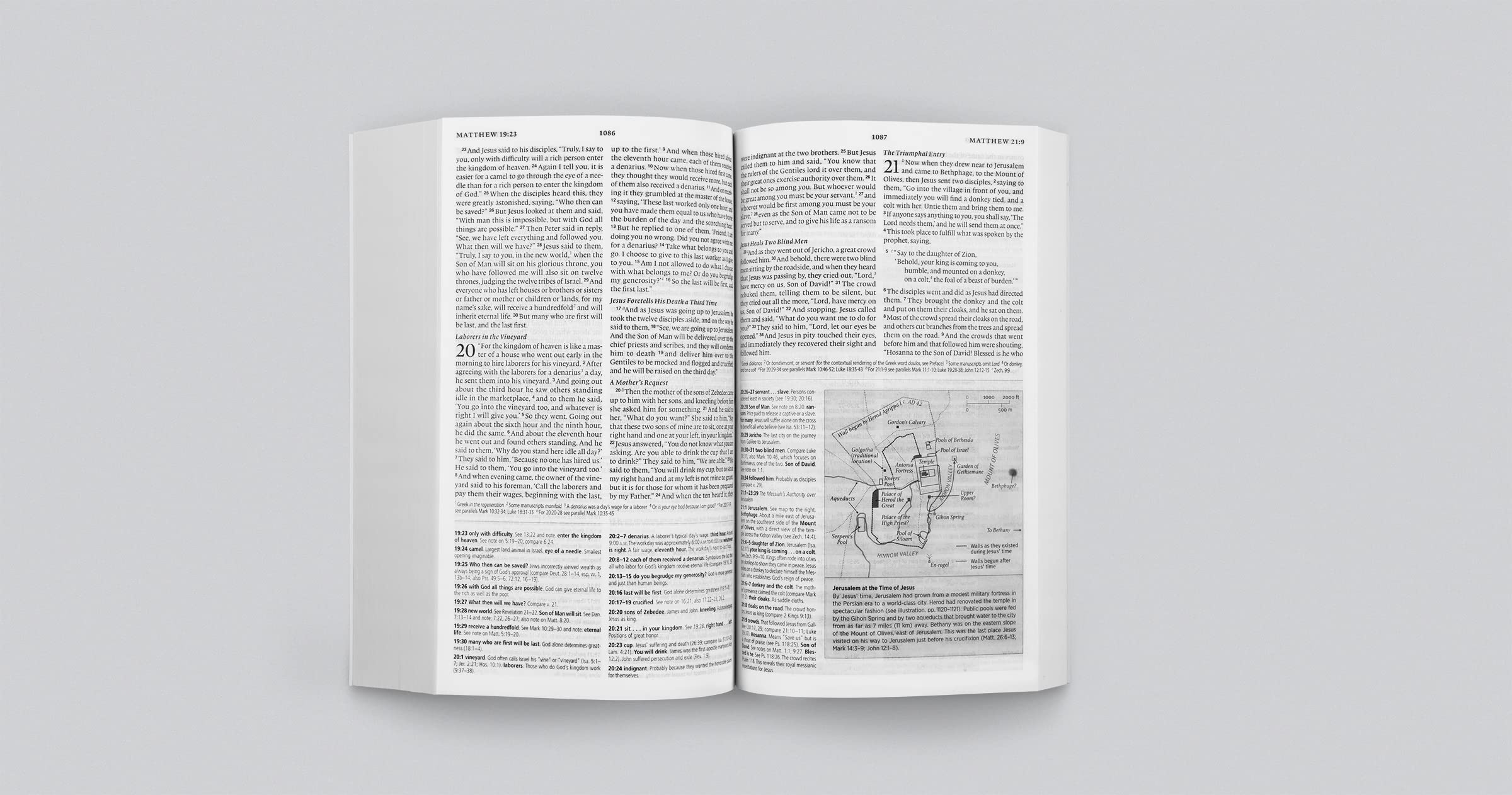 ESV Concise Study Bible, Economy Edition (Paperback),Used