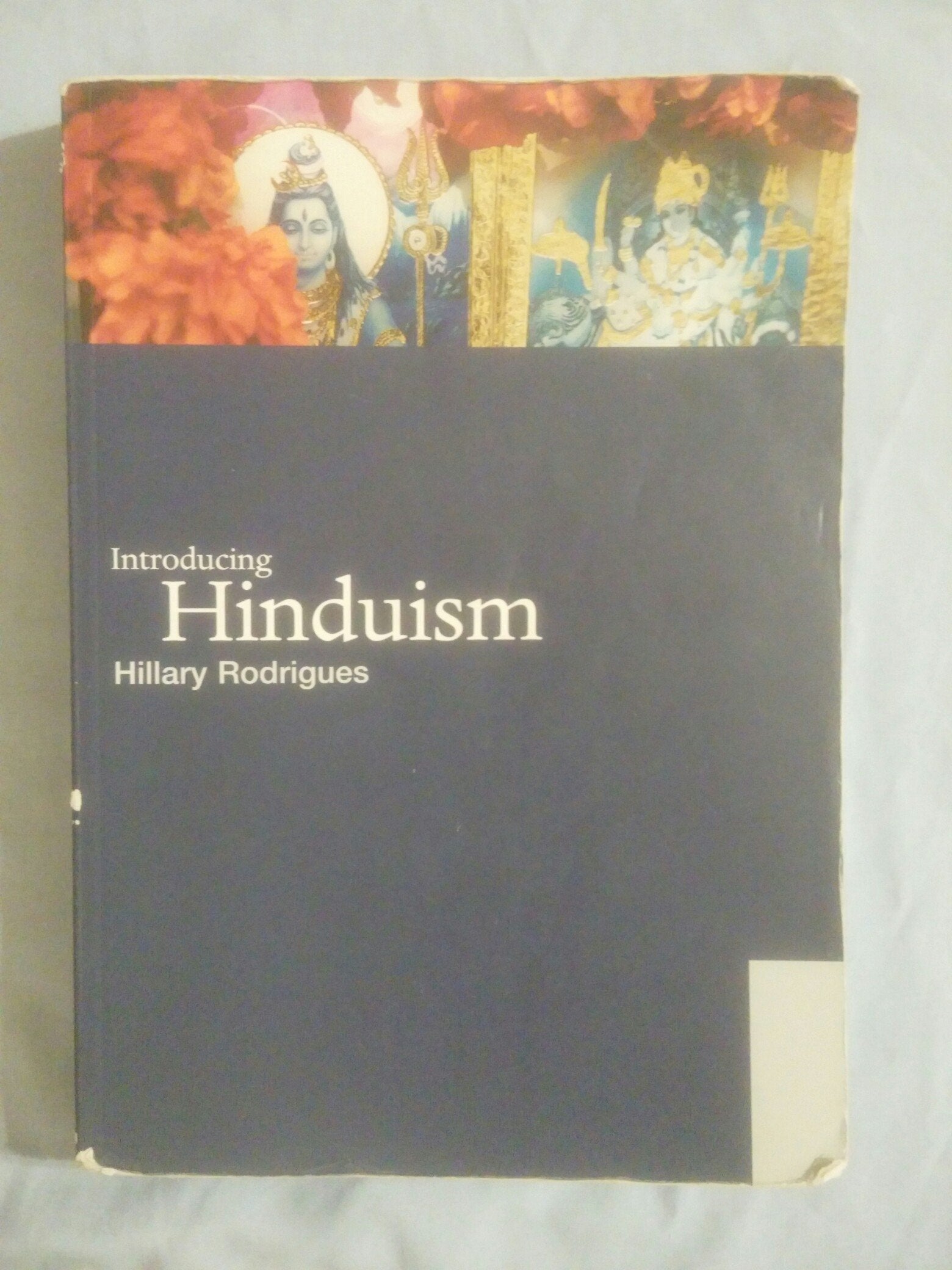Introducing Hinduism (World Religions),New
