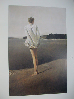 Unknown Terrain: The Landscapes of Andrew Wyeth,New