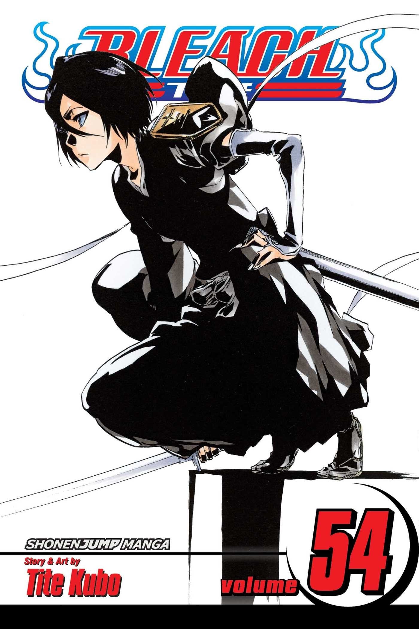 Bleach, Vol. 54,New