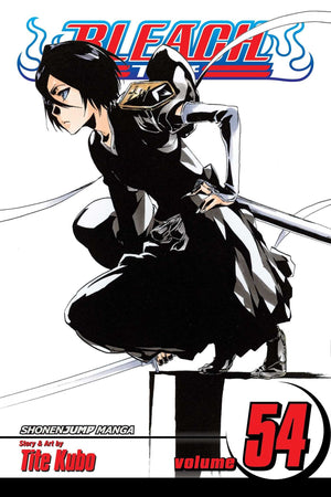 Bleach, Vol. 54,New