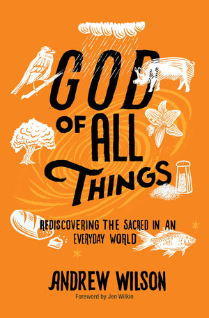 God of All Things: Rediscovering the Sacred in an Everyday World,Used
