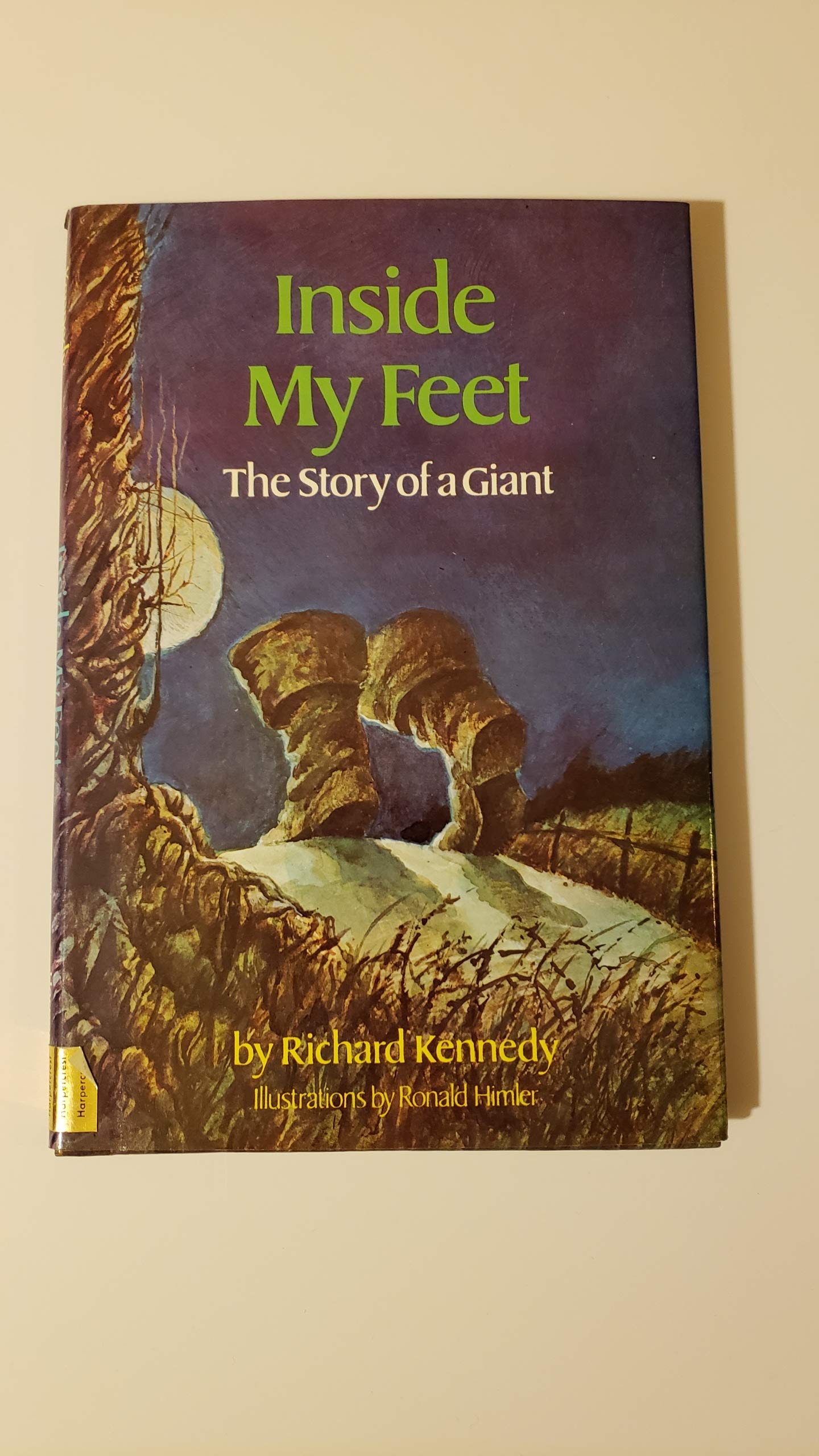 Inside My Feet: The Story Of A Giant,New