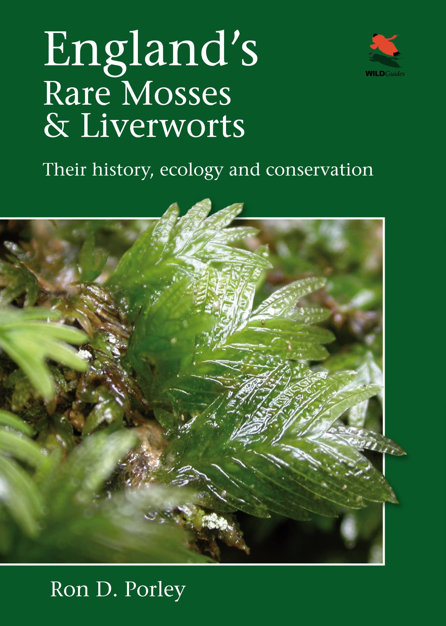 Englands Rare Mosses and Liverworts: Their History, Ecology, and Conservation (WILDGuides, 53)