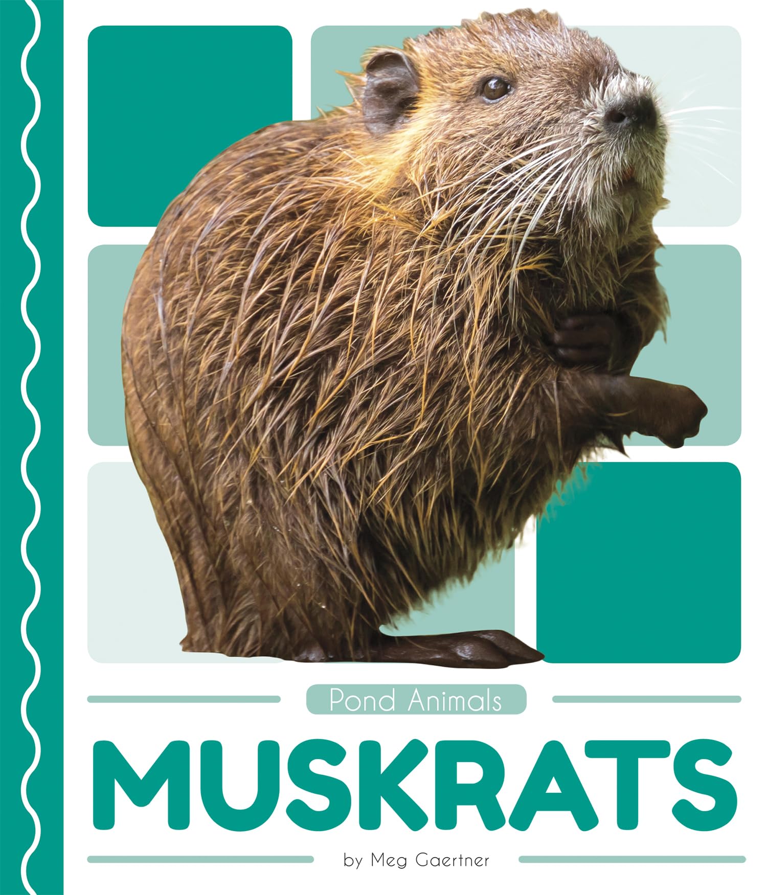 Muskrats,Used
