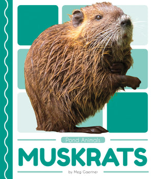 Muskrats,Used