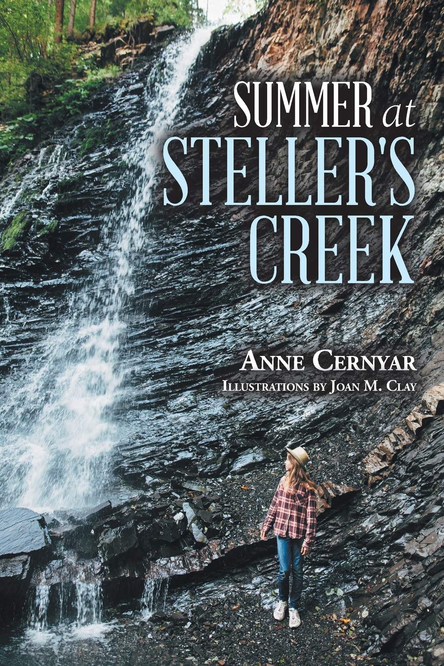 Summer at Steller's Creek,Used