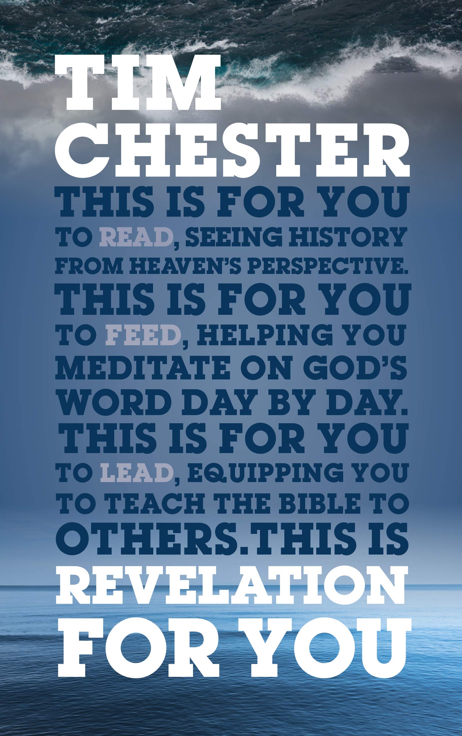 Revelation for You: Seeing History from Heaven's Perspective (God's Word for You),Used