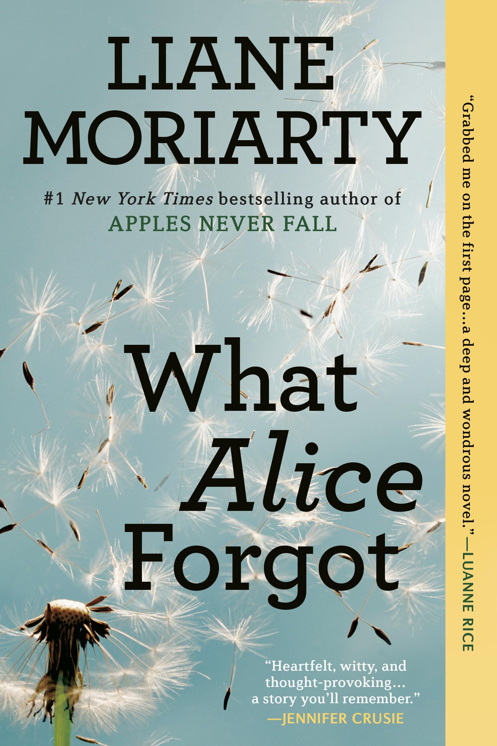 What Alice Forgot,Used
