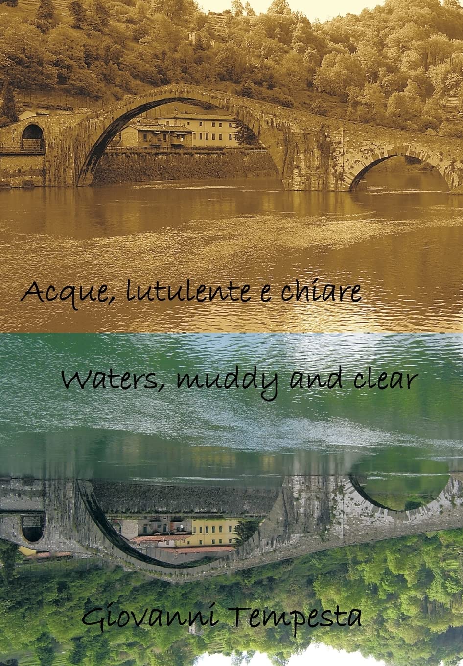 Acque, Lutulente E Chiare Waters, Muddy And Clear (Italian And English Edition),Used