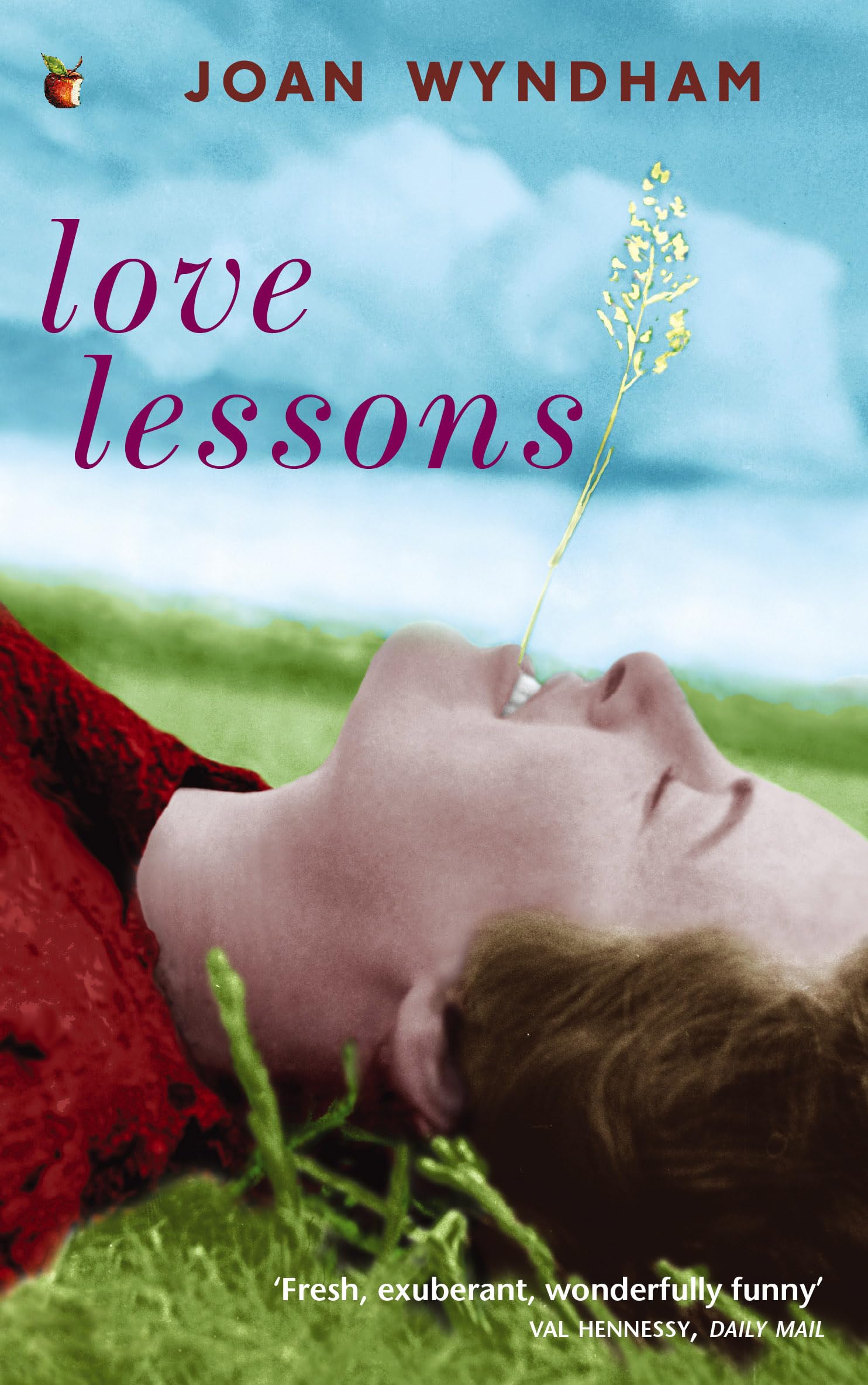 Love Lessons (Virago Modern Classics),Used