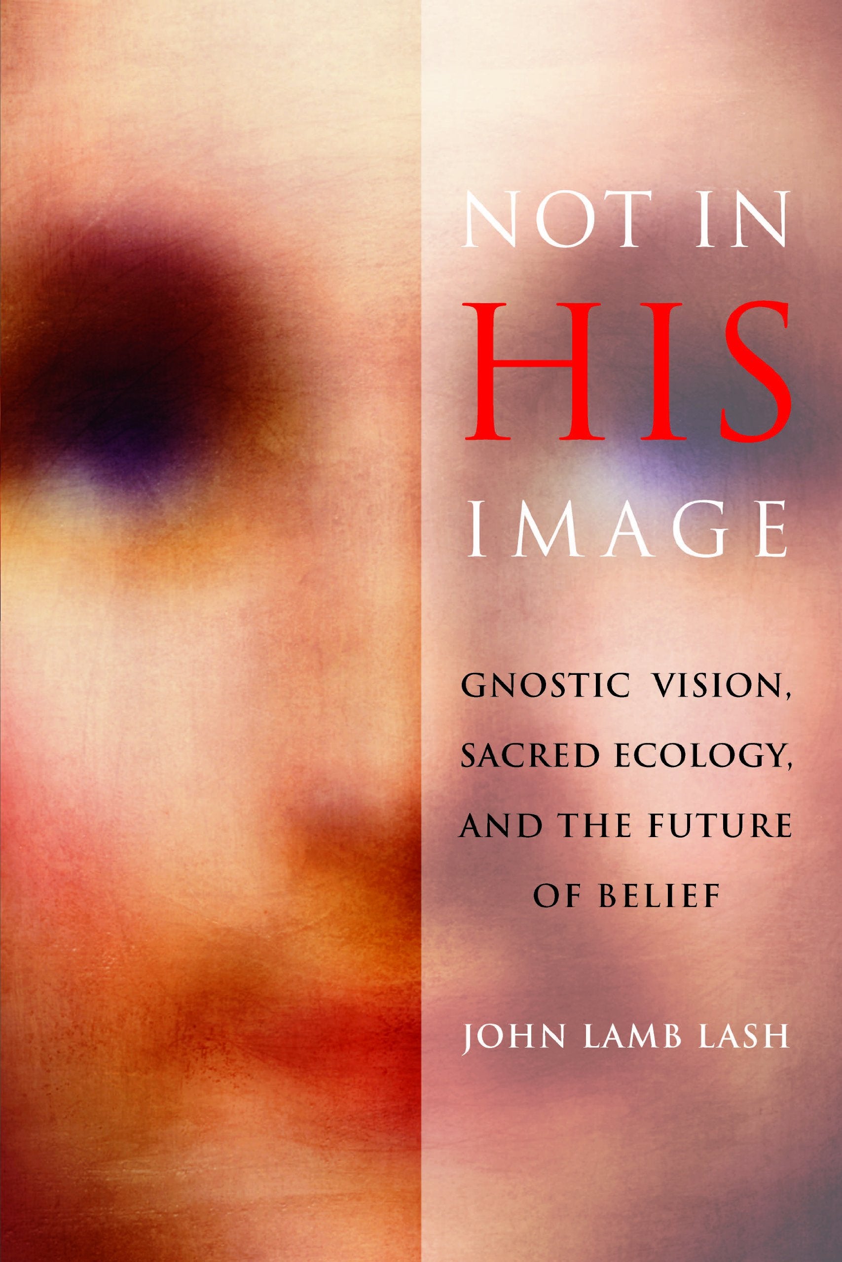 Not In His Image: Gnostic Vision, Sacred Ecology, And The Future Of Belief,Used