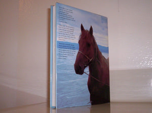 Around the Sacred Sea: Mongolia and Lake Baikal on Horseback,Used