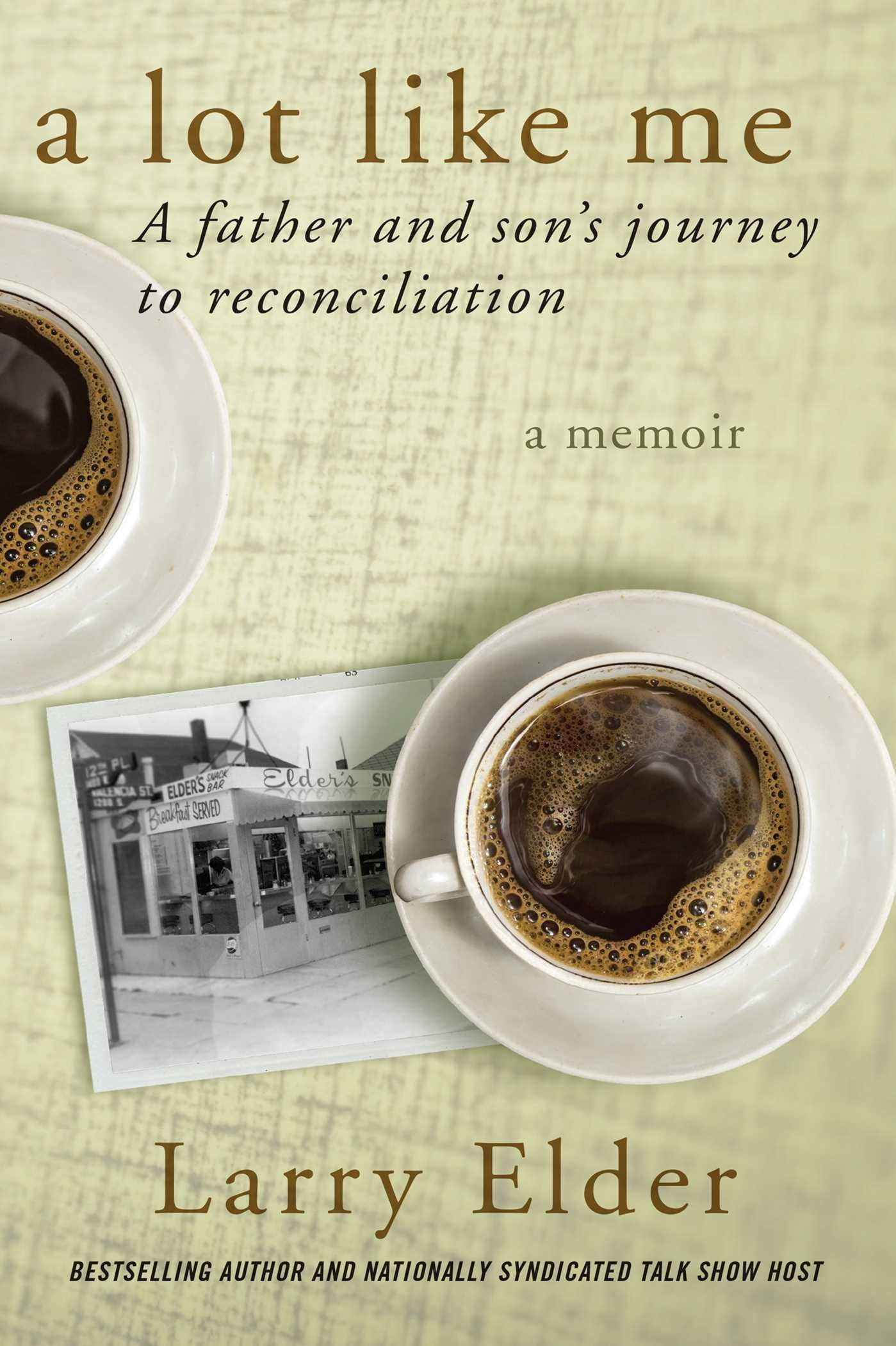A Lot Like Me: A Father and Son's Journey to Reconciliation,Used