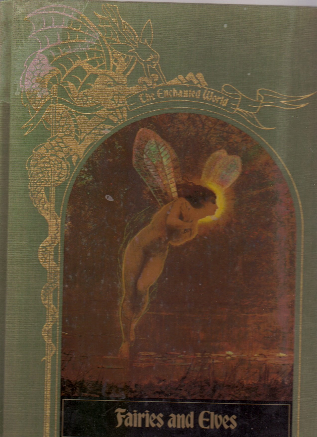 Fairies and Elves (Enchanted World Series),Used
