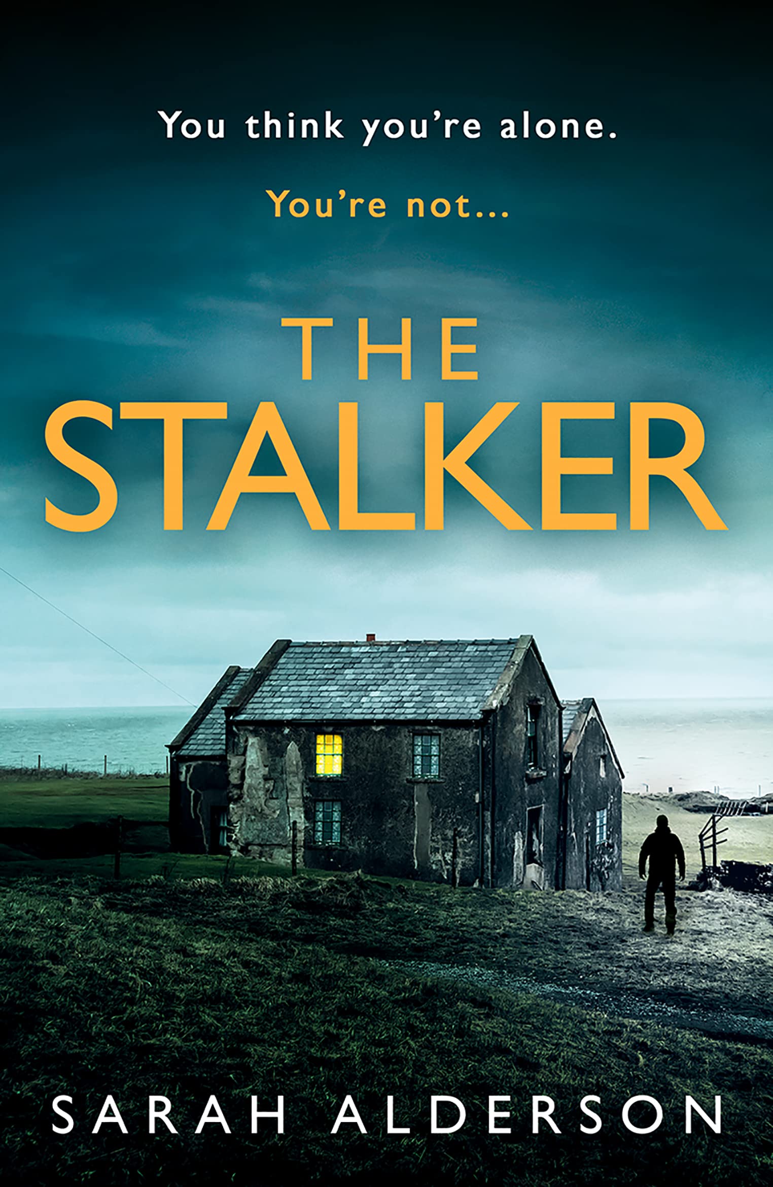 The Stalker,Used