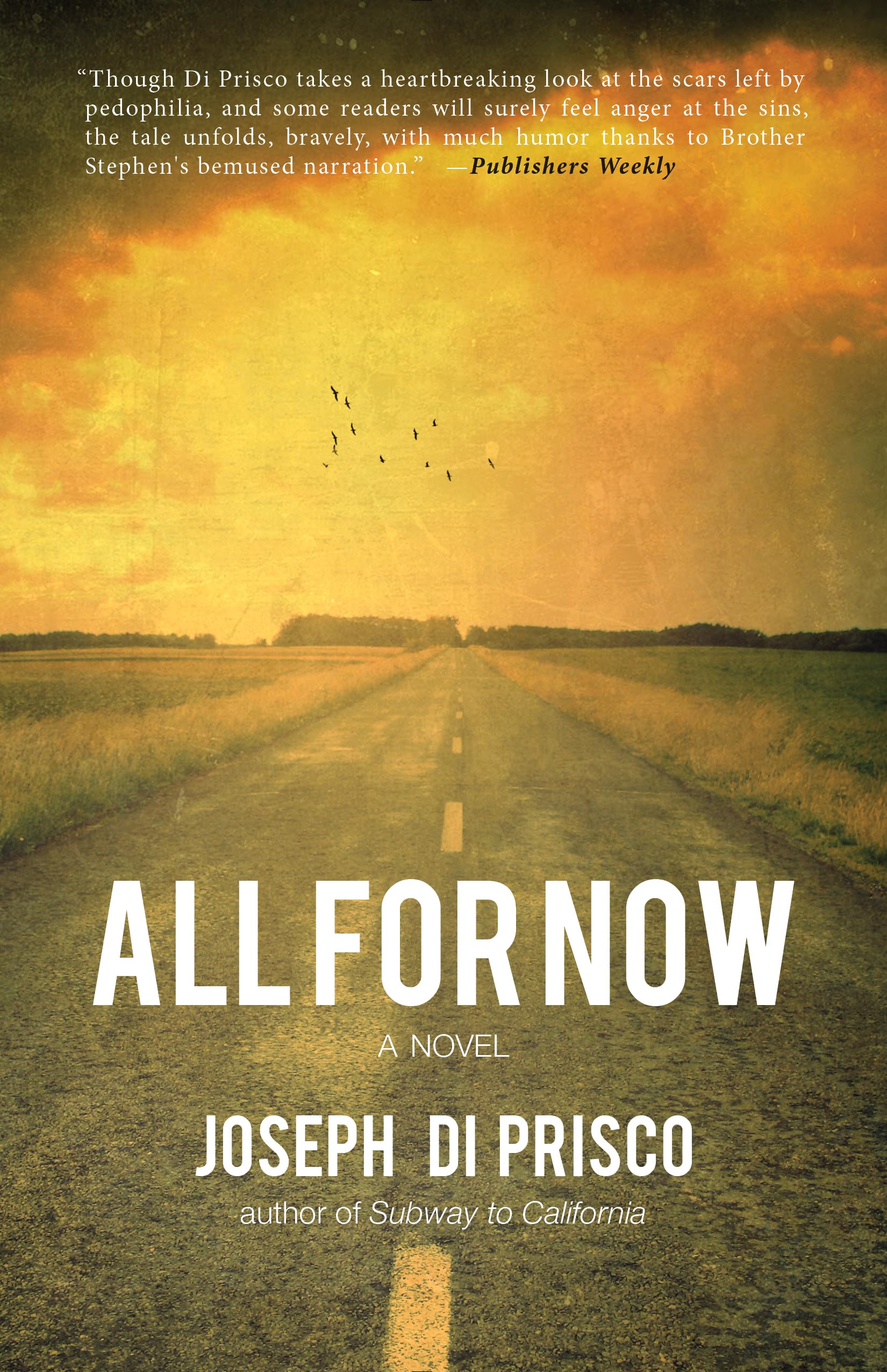 All For Now: A Novel,Used