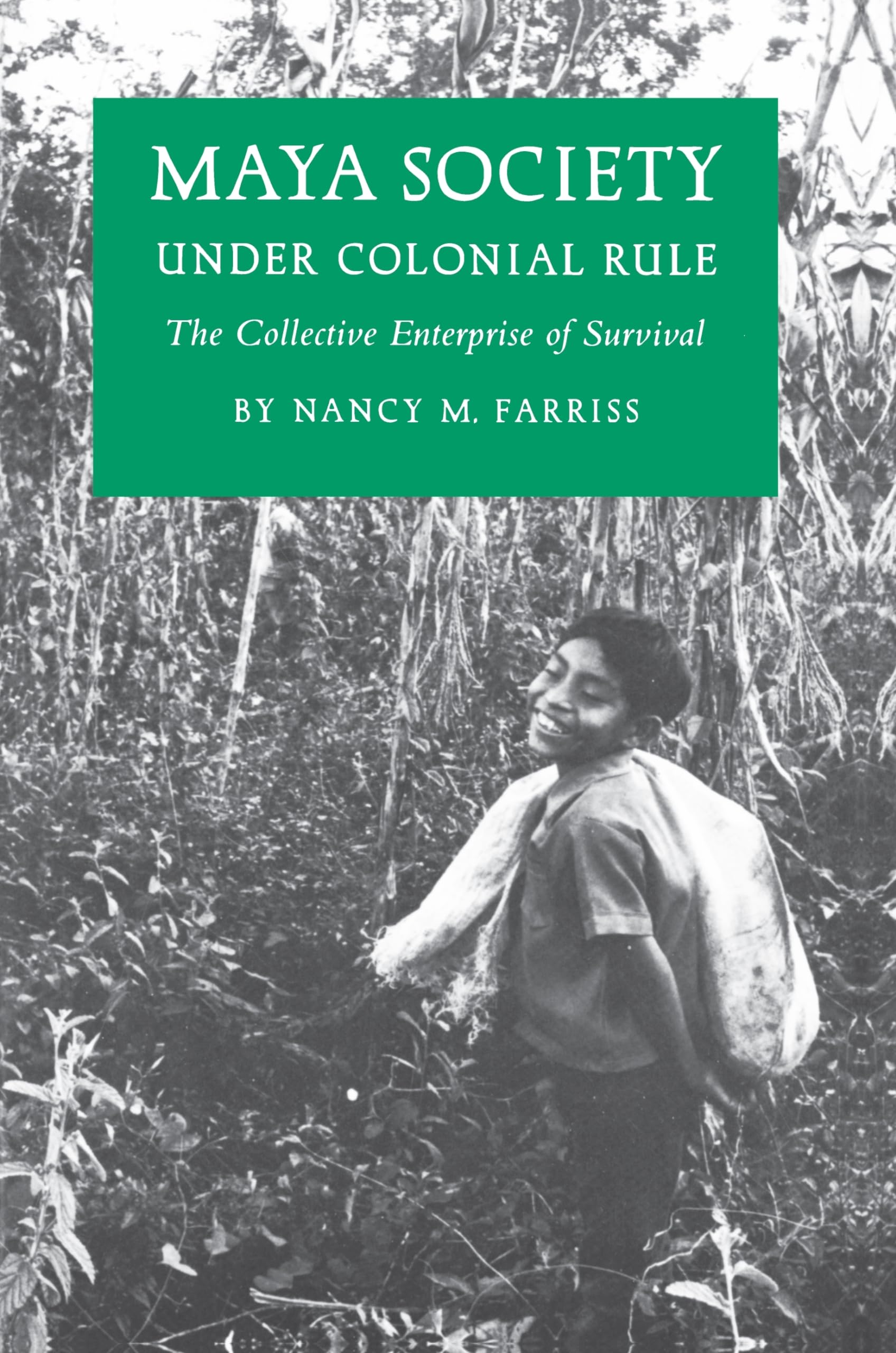 Maya Society Under Colonial Rule: The Collective Enterprise of Survival,New