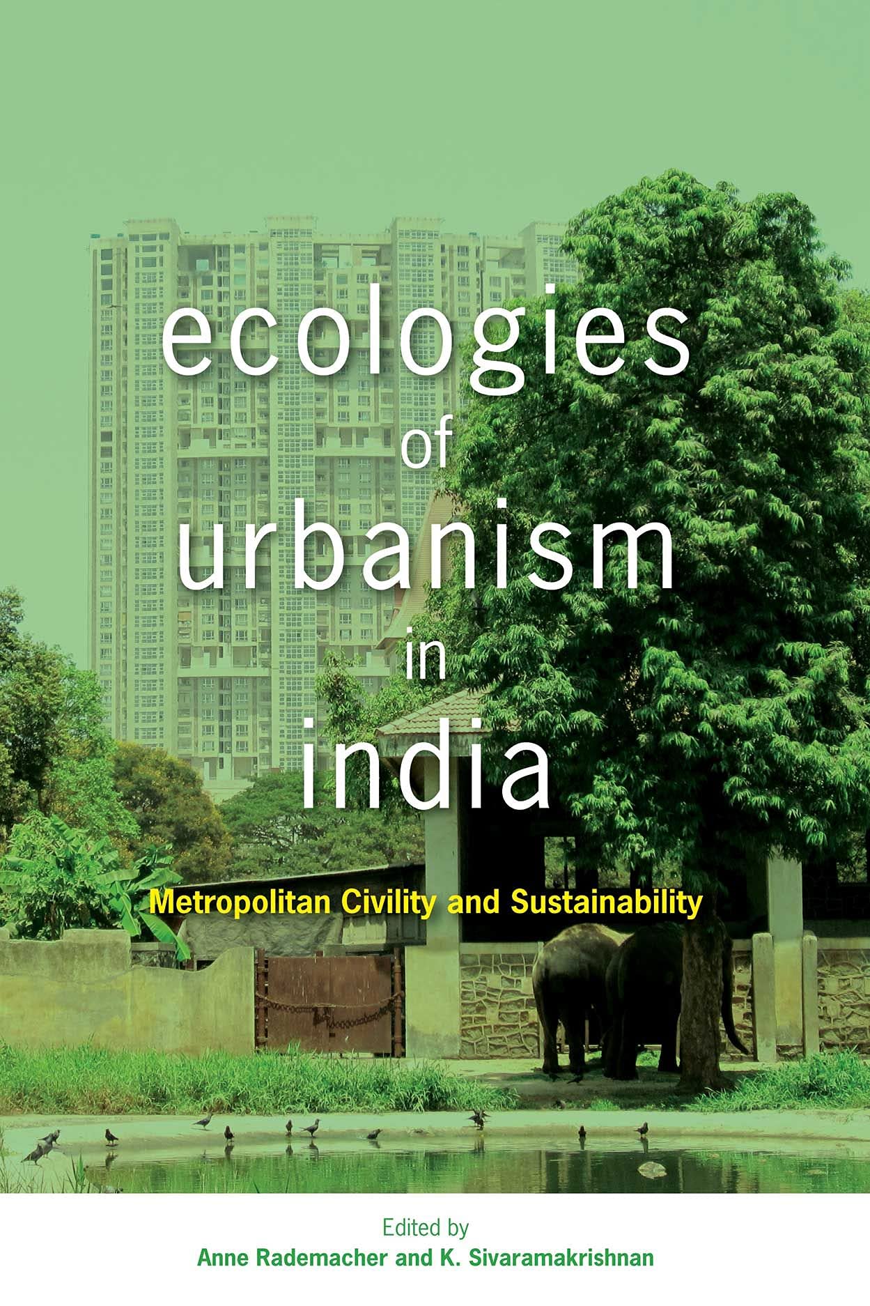 Ecologies of Urbanism in India: Metropolitan Civility and Sustainability,Used