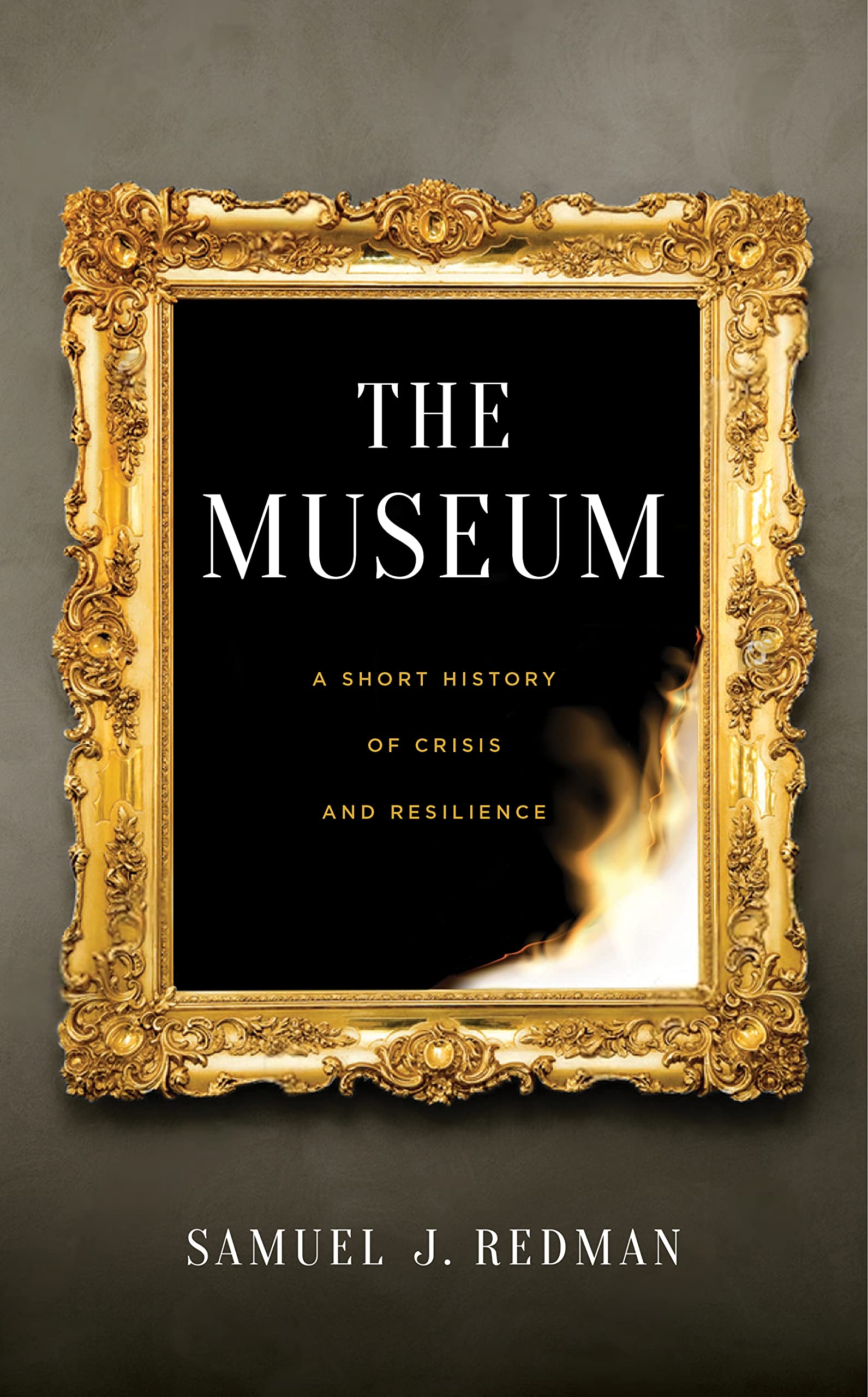 The Museum: A Short History of Crisis and Resilience,Used