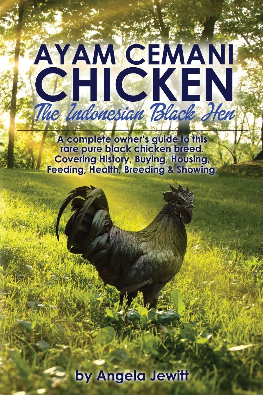 Ayam Cemani Chicken  The Indonesian Black Hen. A complete owner's guide to this rare pure black chicken breed. Covering History,Used