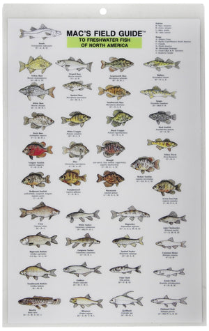Mac's Field Guides: North American Freshwater Fish (Mac's Guides (Paperback)),Used
